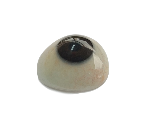 600.jpg