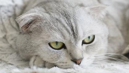 义眼台术后表面发黑别担心，几个办法帮你解决！