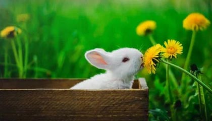 义眼取现需要多长时间？这篇文章告诉你答案！