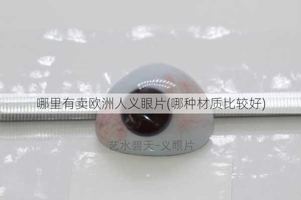 哪里有卖欧洲人义眼片(哪种材质比较好)
