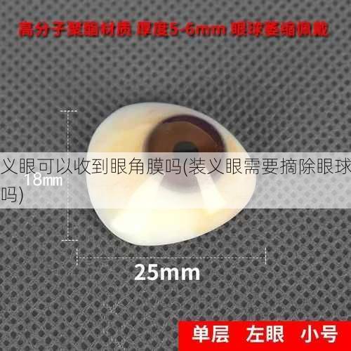 义眼可以收到眼角膜吗(装义眼需要摘除眼球吗)