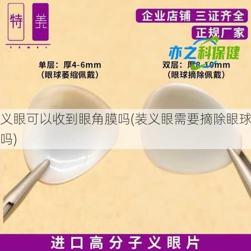 义眼可以收到眼角膜吗(装义眼需要摘除眼球吗)
