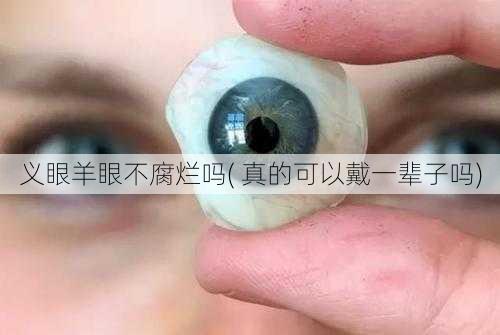 义眼羊眼不腐烂吗( 真的可以戴一辈子吗)