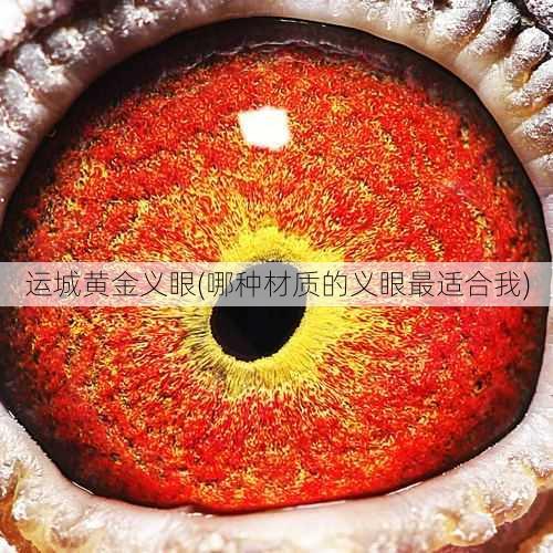 运城黄金义眼(哪种材质的义眼最适合我)