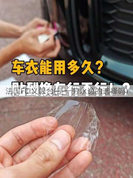 法国FCI义眼台(是一劳永逸的选择吗)