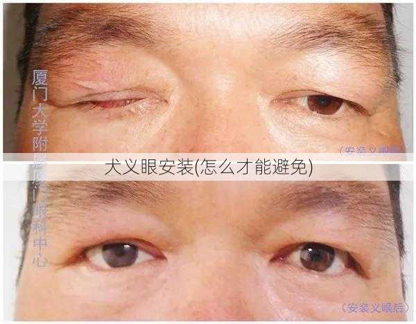 犬义眼安装(怎么才能避免)
