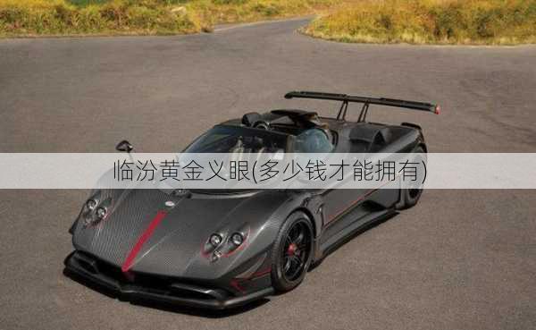 临汾黄金义眼(多少钱才能拥有)