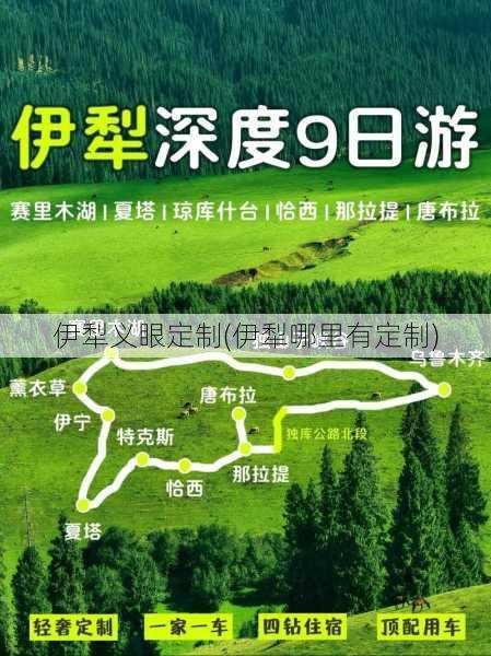 伊犁义眼定制(伊犁哪里有定制)