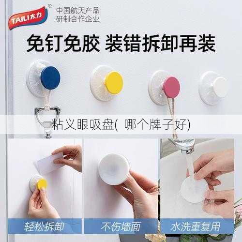 粘义眼吸盘(  哪个牌子好)