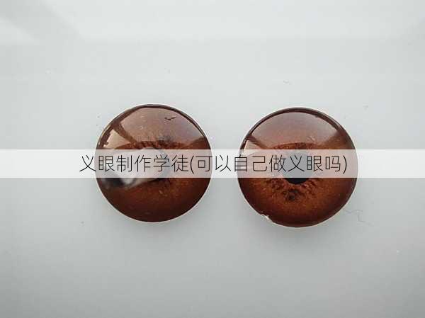 义眼制作学徒(可以自己做义眼吗)