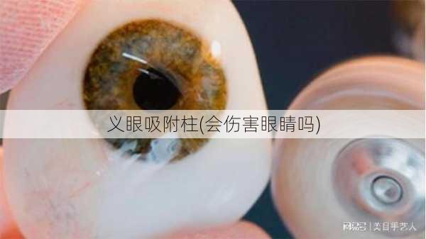 义眼吸附柱(会伤害眼睛吗)