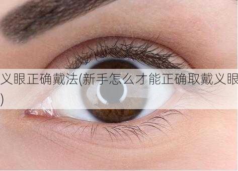 义眼正确戴法(新手怎么才能正确取戴义眼)