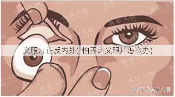 义眼片正反内外(  怕弄坏义眼片怎么办)