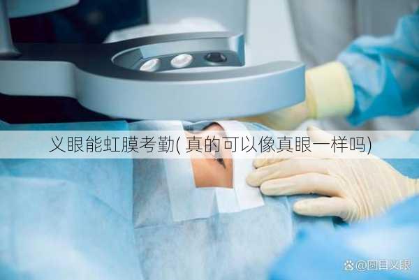 义眼能虹膜考勤( 真的可以像真眼一样吗)