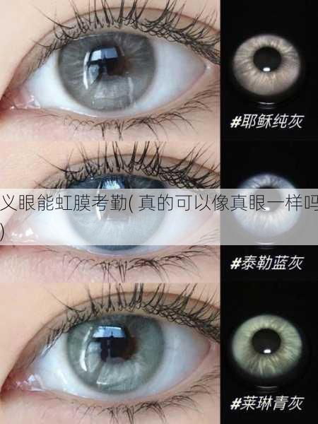 义眼能虹膜考勤( 真的可以像真眼一样吗)