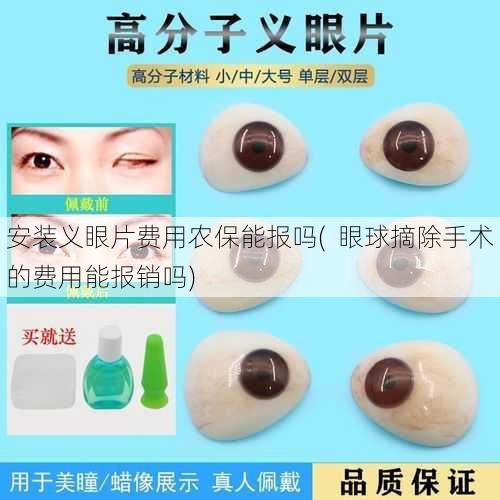 安装义眼片费用农保能报吗(  眼球摘除手术的费用能报销吗)