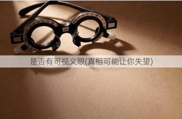 是否有可视义眼(真相可能让你失望)