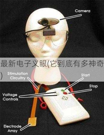 最新电子义眼(它到底有多神奇)