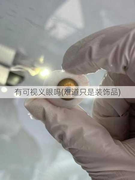 有可视义眼吗(难道只是装饰品)