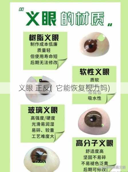 义眼 正反(  它能恢复视力吗)