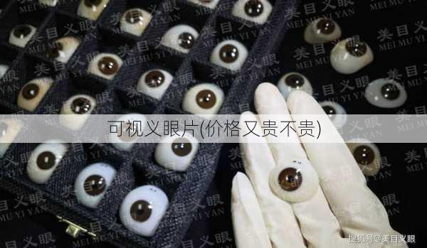 可视义眼片(价格又贵不贵)