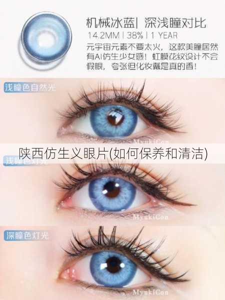 陕西仿生义眼片(如何保养和清洁)
