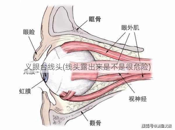 义眼台线头(线头露出来是不是很危险)