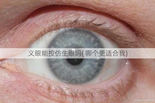 义眼能按仿生眼吗( 哪个更适合我)