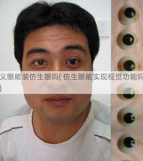 义眼能装仿生眼吗( 仿生眼能实现视觉功能吗)