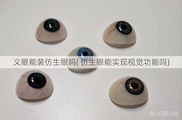 义眼能装仿生眼吗( 仿生眼能实现视觉功能吗)