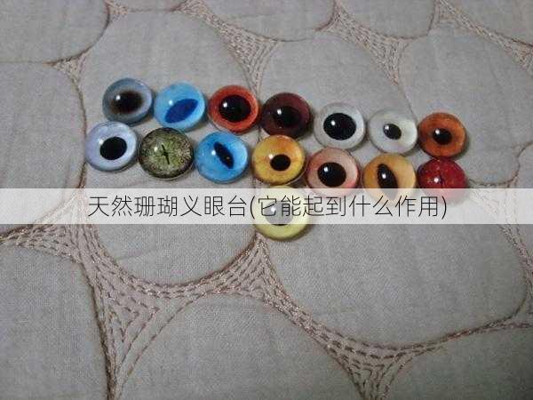 天然珊瑚义眼台(它能起到什么作用)