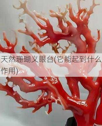 天然珊瑚义眼台(它能起到什么作用)
