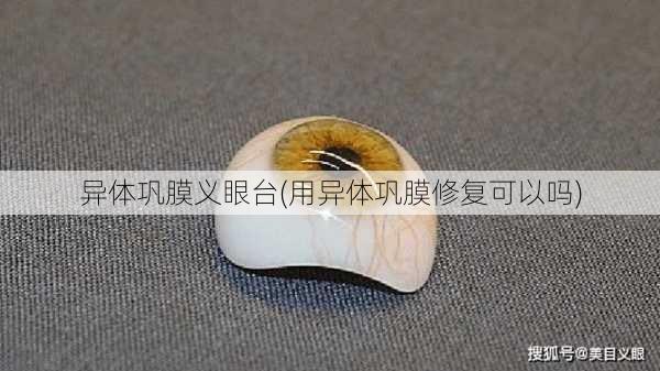 异体巩膜义眼台(用异体巩膜修复可以吗)