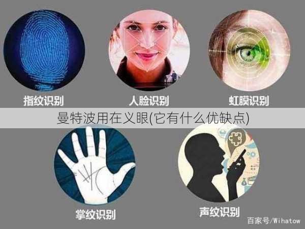 曼特波用在义眼(它有什么优缺点)