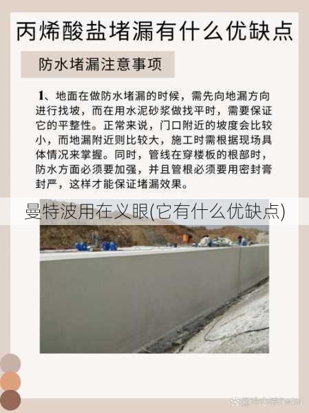 曼特波用在义眼(它有什么优缺点)