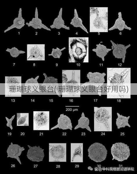 珊瑚球义眼台( 珊瑚球义眼台好用吗)