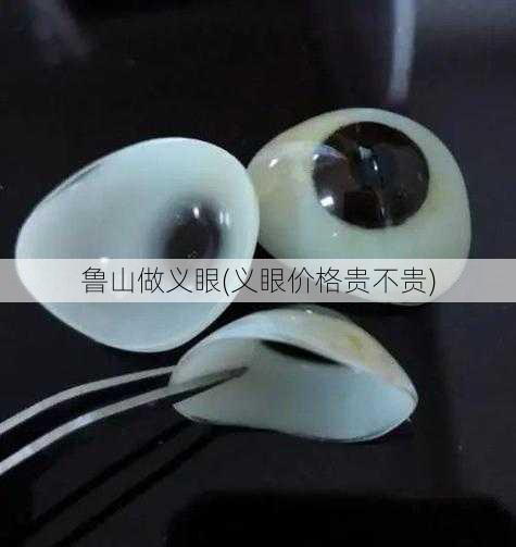 鲁山做义眼(义眼价格贵不贵)