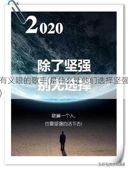 有义眼的歌手(是什么让他们选择坚强)