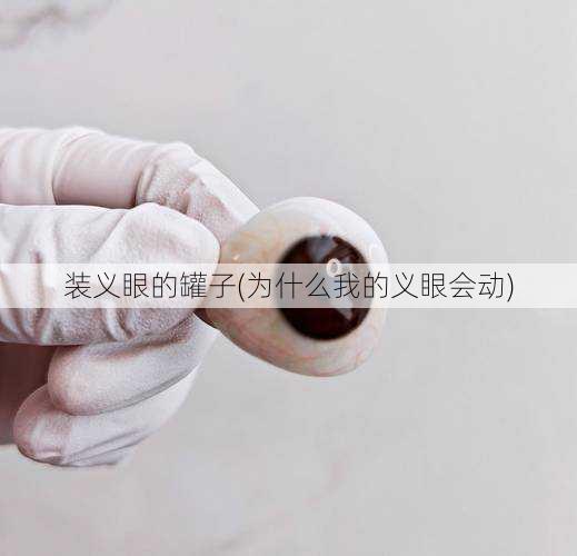 装义眼的罐子(为什么我的义眼会动)