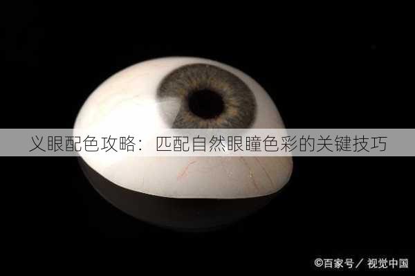 义眼配色攻略：匹配自然眼瞳色彩的关键技巧