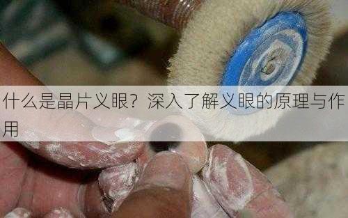 什么是晶片义眼？深入了解义眼的原理与作用