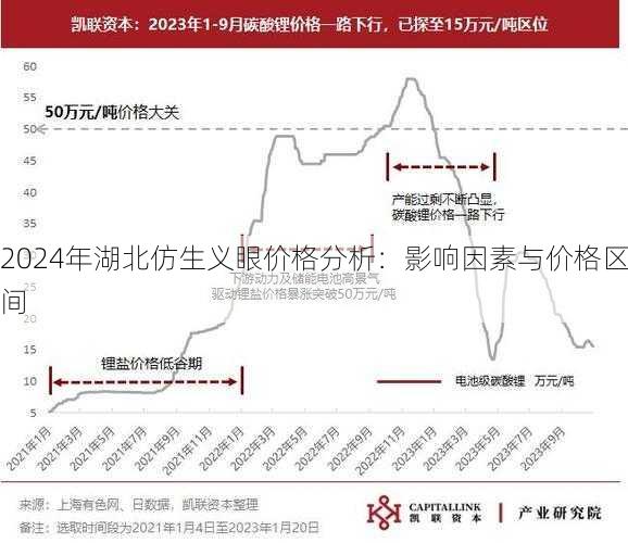 2024年湖北仿生义眼价格分析：影响因素与价格区间