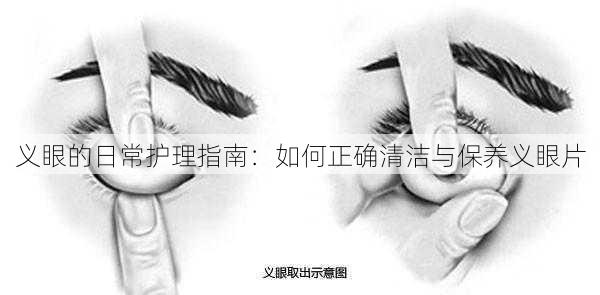义眼的日常护理指南：如何正确清洁与保养义眼片
