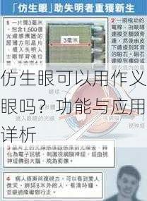 仿生眼可以用作义眼吗？功能与应用详析