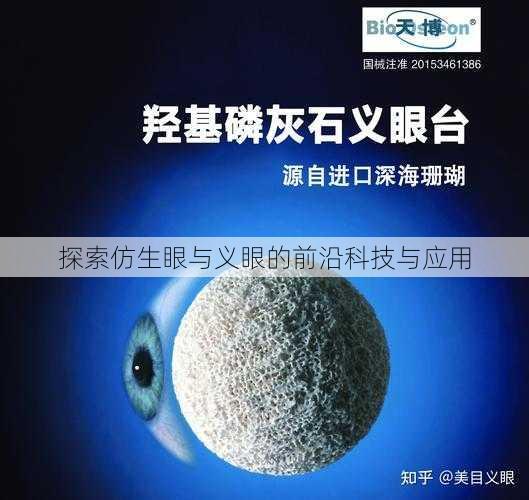 探索仿生眼与义眼的前沿科技与应用