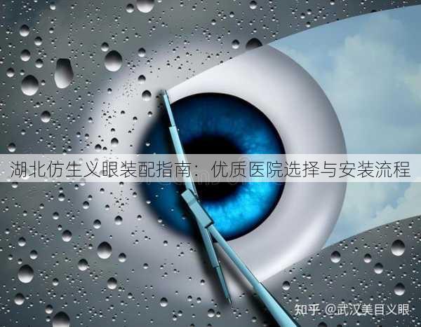 湖北仿生义眼装配指南：优质医院选择与安装流程