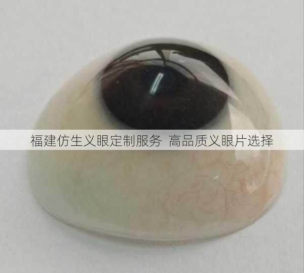 福建仿生义眼定制服务  高品质义眼片选择