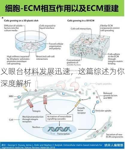 义眼台材料发展迅速，这篇综述为你深度解析